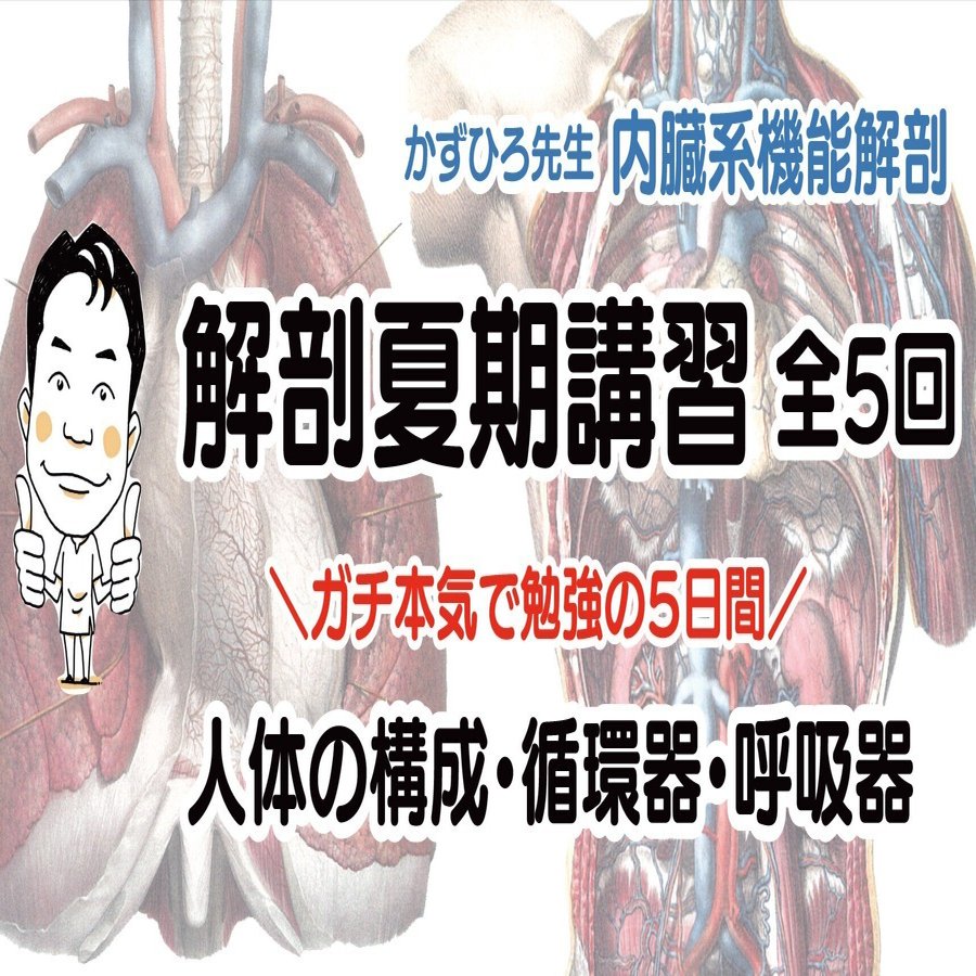 かずひろ解剖】夏期講習｜人体の構成・循環器・呼吸器｜ ＼ガチ本気で