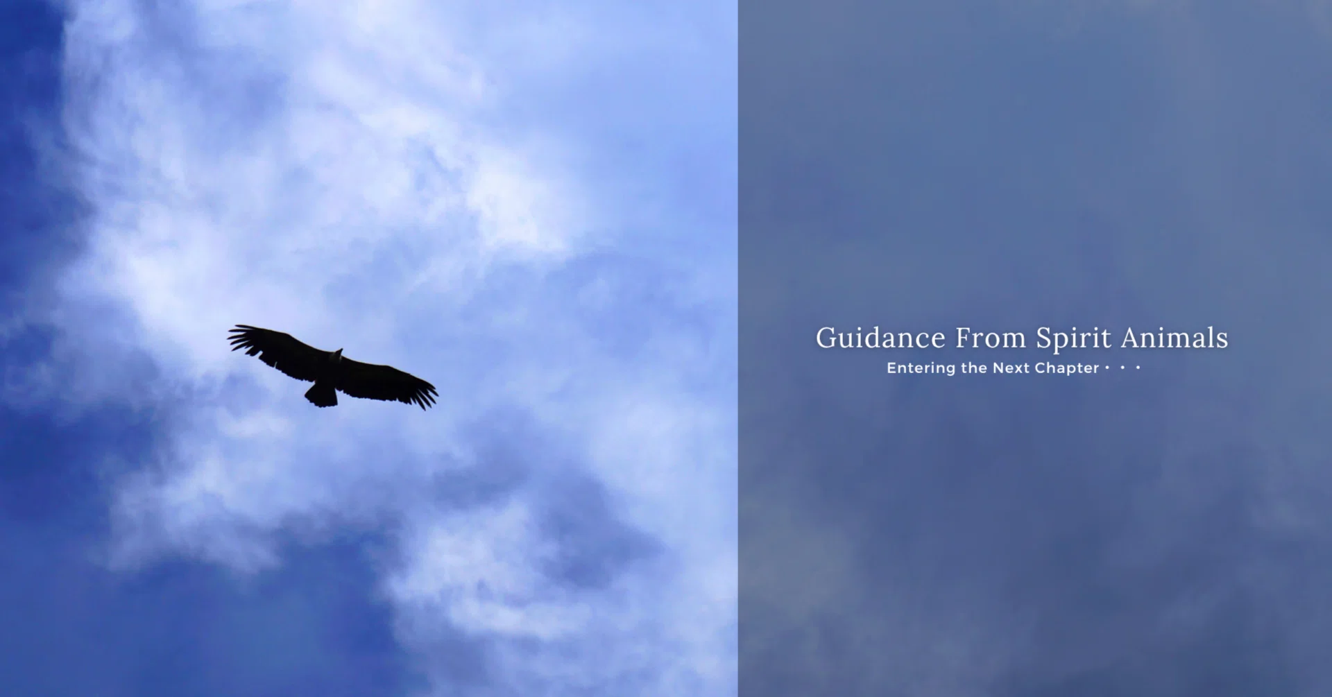 Guidance From Spirit Animals｜note