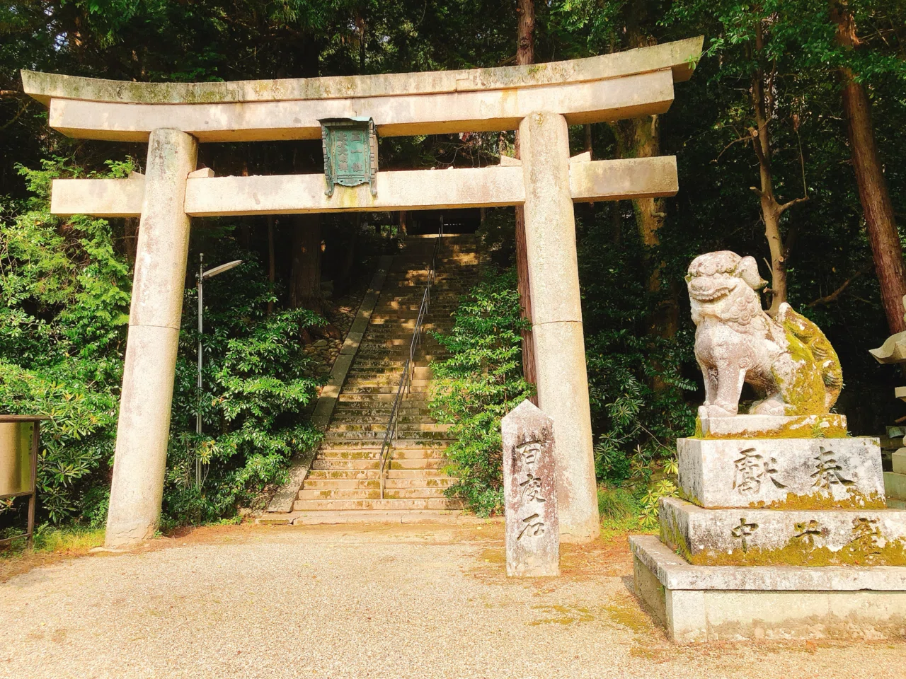 旅行記】大阪府千早赤阪村「棚田・建水分神社・土鈴人形」｜地域文化