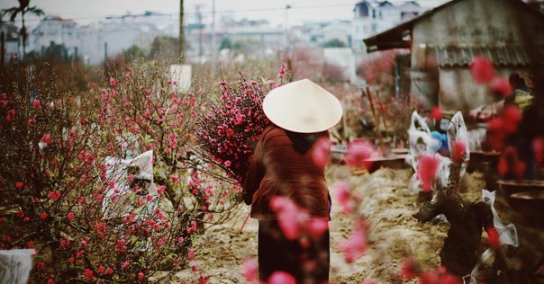 生活景　身近な景観価値の発見とまちづくり 033.『生活景 身近な景観価値の発見とまちづくり』社団法人日本