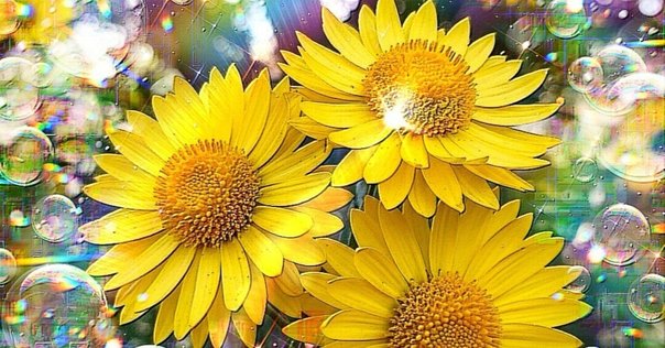 カーネーション、ユリ、ユリ、バラ｜薄明かりの絵画