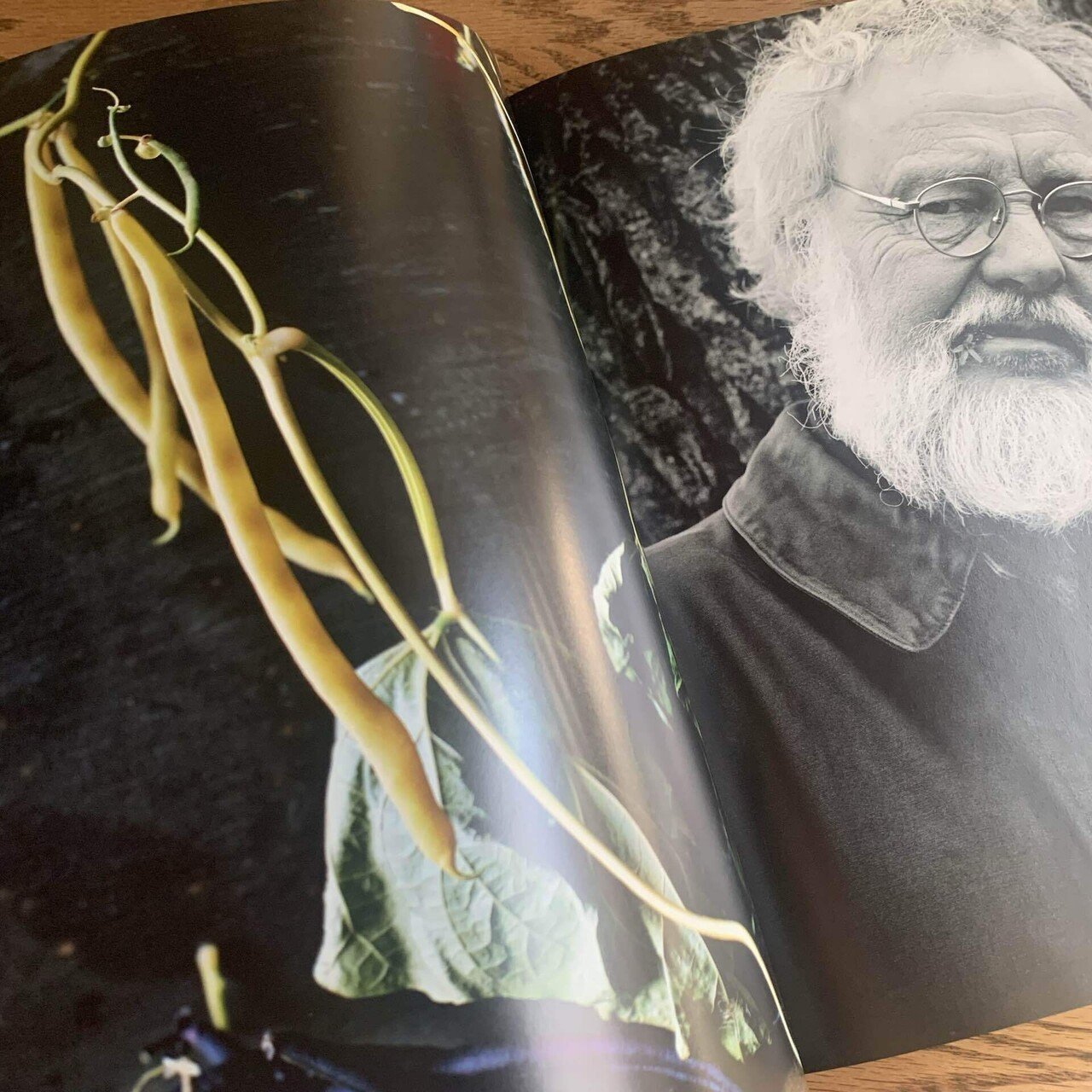 NOMA 料理と写真のアートブック Noma in Kyoto Magazine | Kitchen Arts & Letters