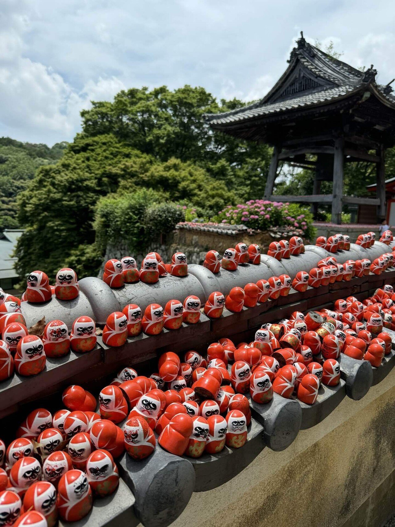 紫陽花煌めく勝尾寺｜Anne