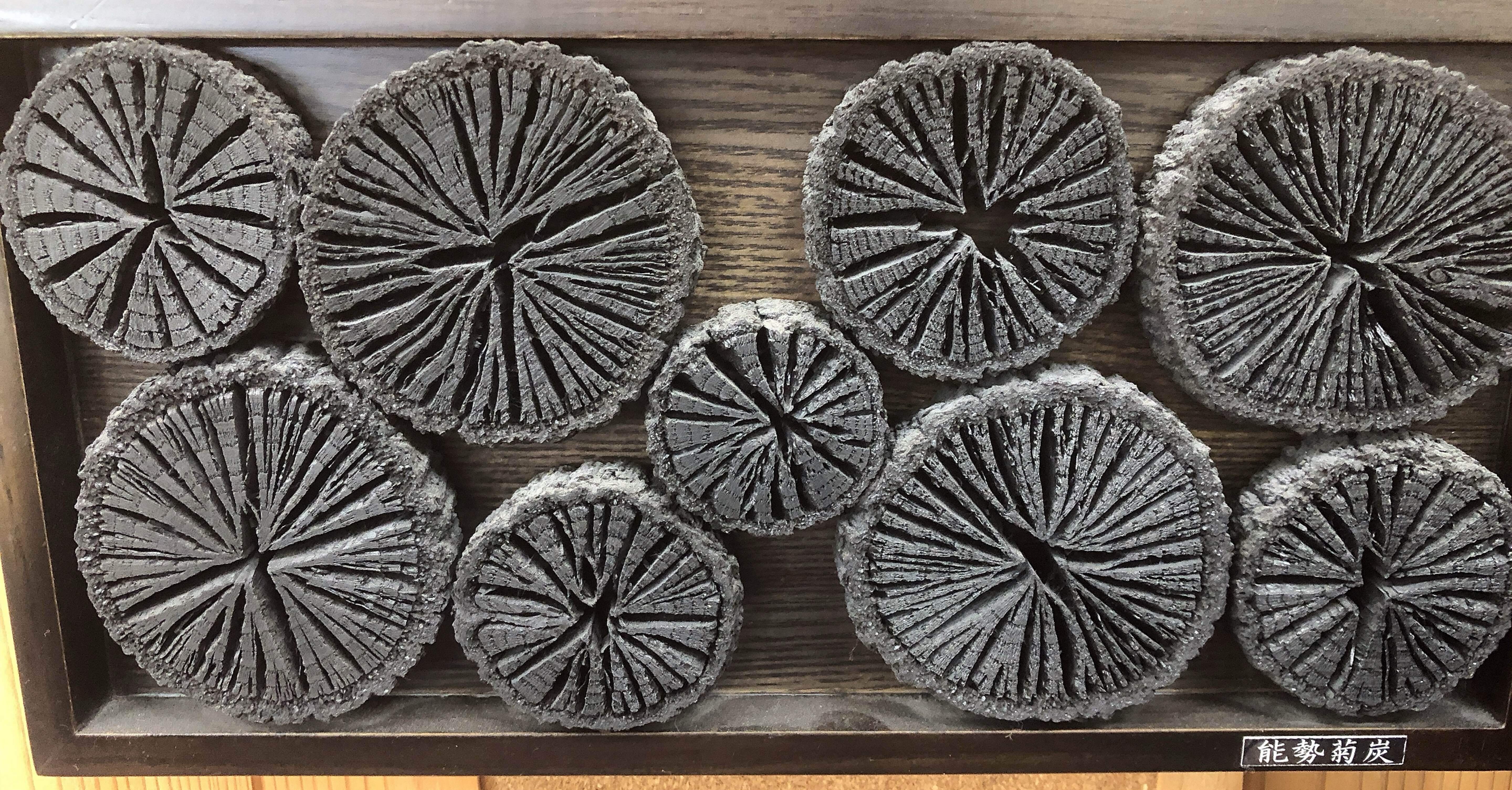 旅行記】大阪府能勢町「能勢菊炭」｜地域文化ライター研究生