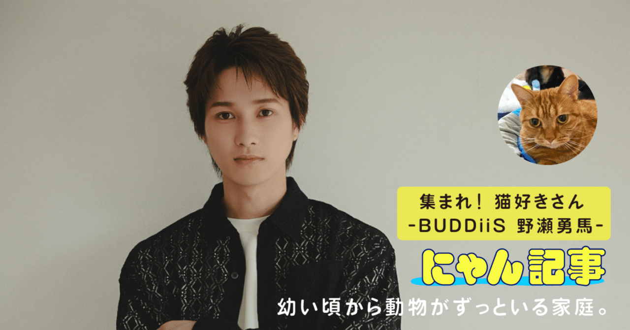 集まれ！ 猫好きさん―BUDDiiS 野瀬勇馬―｜ヤマト運輸公式note
