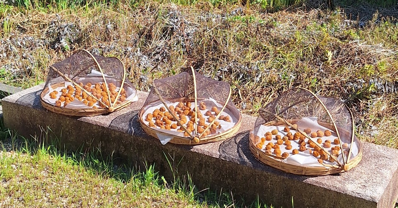 うめぼし様 WEB限定】YURAGU 和紙パネル 30×30金地梅｜家を装う｜中川政七