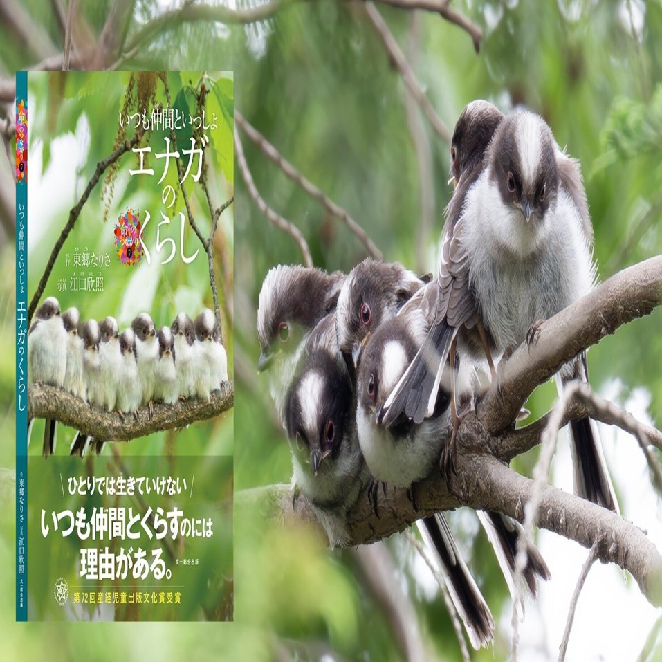 かわいいだけでなく、生きざまが興味深いふわふわな小鳥｜ブンイチ（文