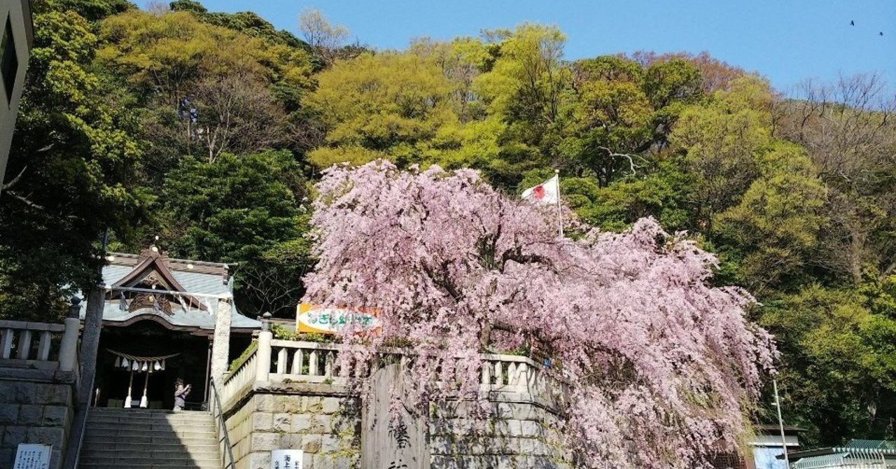お花見スポット 根岸森林公園 Mai 心地よく生きていくnote Note