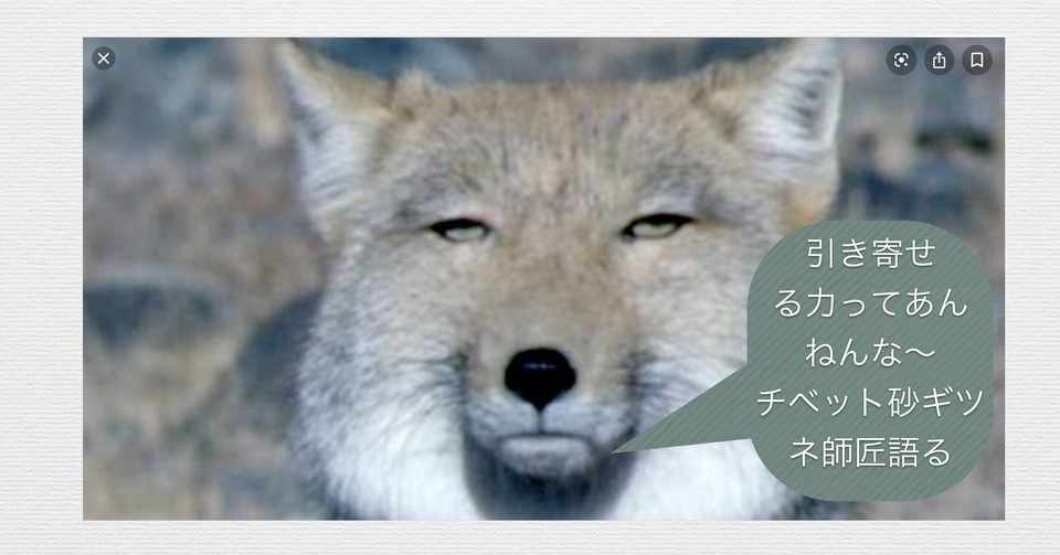運が良いと言われる人の特性 特長 運を引き寄せる力 キャリアコンサルタント養成講座からの学び ジョン D クランボルツ先生 計画的偶発性理論 カゲりん Note