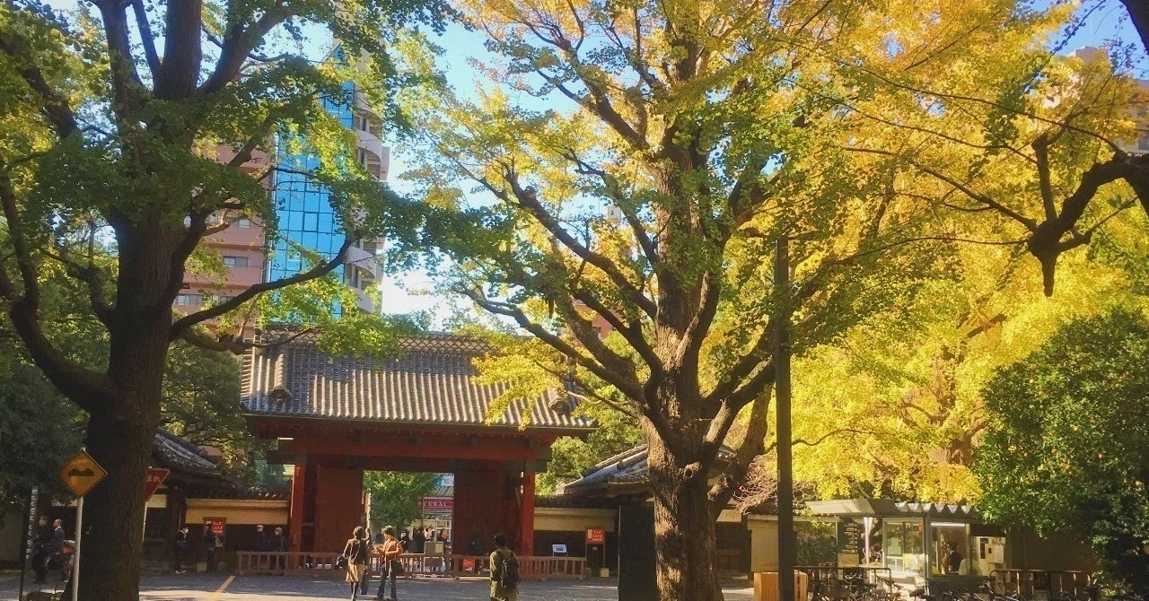 嫌がらせ する 人 の 末路 嫌がらせをする心理は意外と単純 考えられる９つの理由 Amp Petmd Com