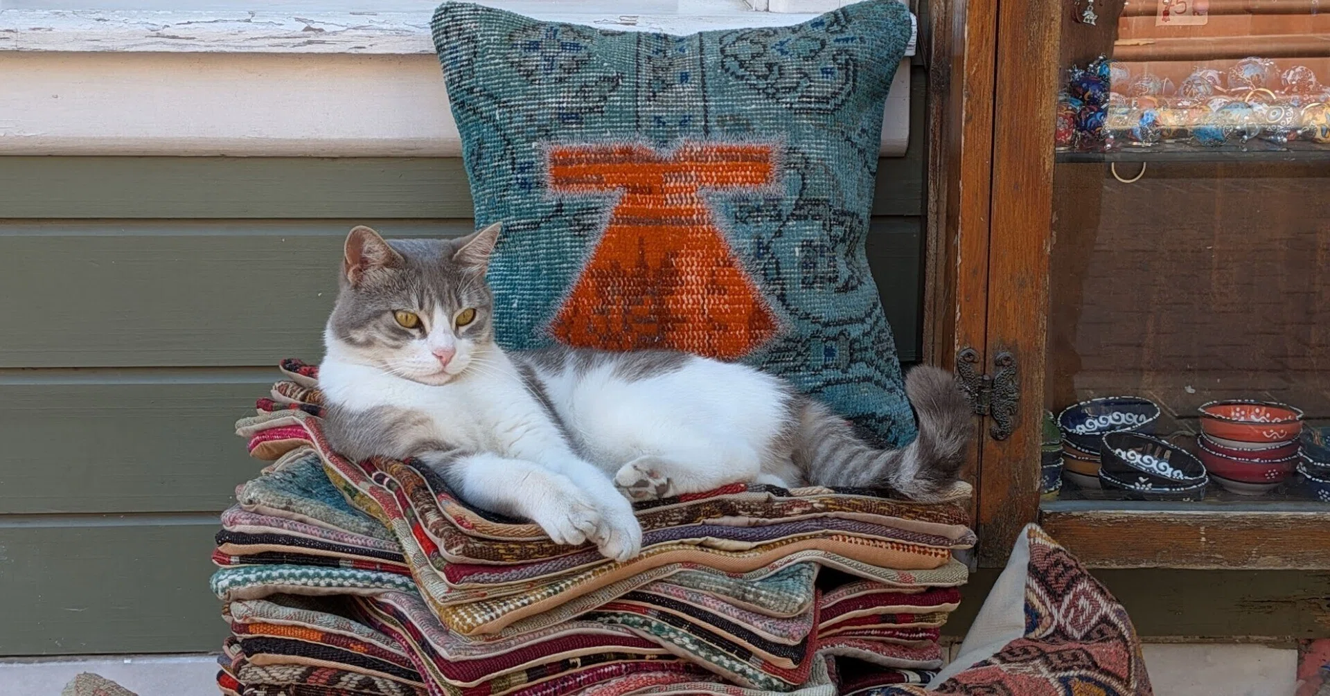 イスタンブールは猫天国 - トルコ旅行の思い出 #3｜食塩出現 | 旅行記録
