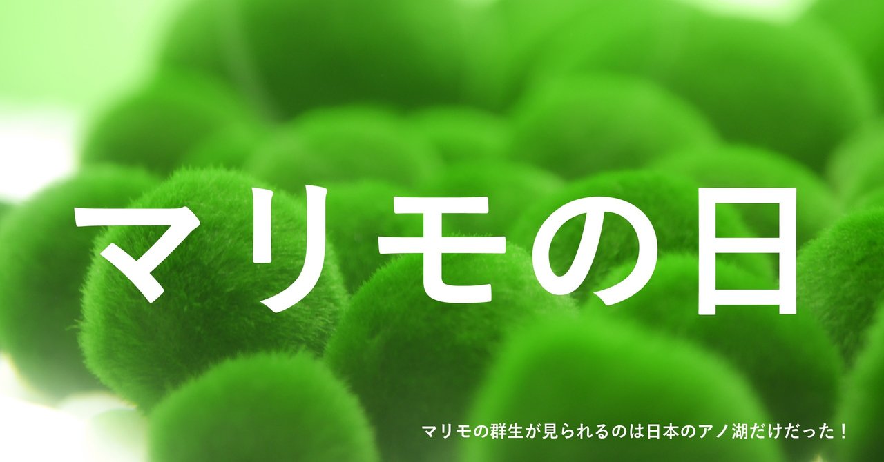 今日は マリモの日 マリモの群生が見られるのは日本のアノ湖だけだった 伊藤忠都市開発 Note 今日は マリモの日 マリモの群生が見られるのは日本のアノ湖だけだった 伊藤忠都市開発 Note