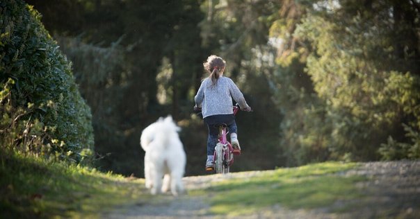 越境する家族 : 在日ベトナム系住民の生活世界 越境する家族: 在日ベトナム系住民の生活世界 | 川上 郁雄 |本