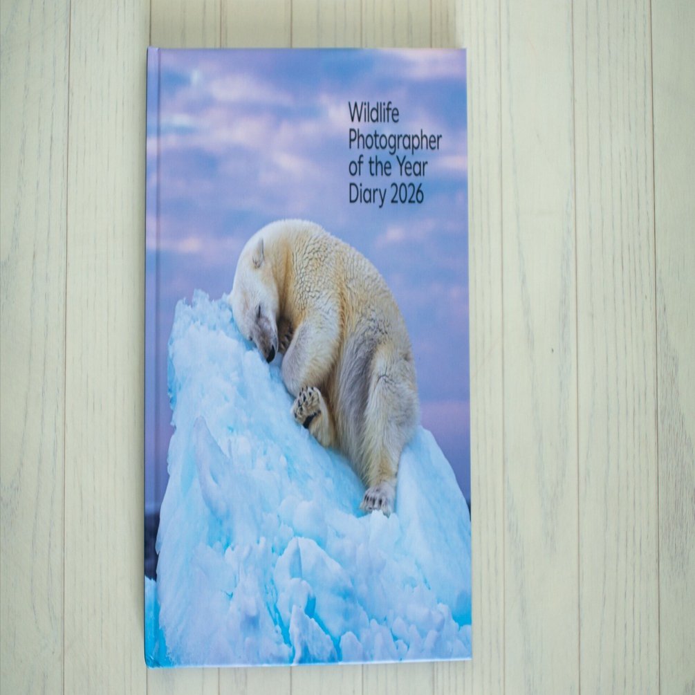 Wildlife Photographer of the Year Desk Diary 2026｜小関一成