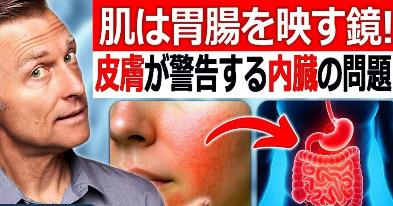 最新｜肌は胃腸を映す鏡！　皮膚が警告する内臓の問題【胃腸、胆のう、皮膚】ドクター・バーグ