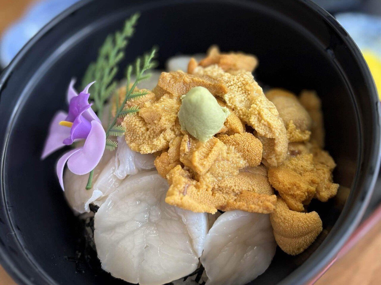 石鯛の餌（紫ウニ、馬糞ウニ、ヤドカリ等）来年4月頃より予約制（各50個以上から承ります） 石鯛はなぜ刺のあるウニを食べるのか？──食べにくいはずのエサを好む
