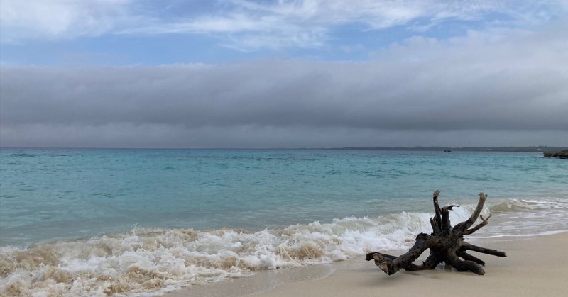 【NOTE連載】50代の私が書く理由#1 ── 自分を大切にすることに、ようやく気づいたから eyecatch