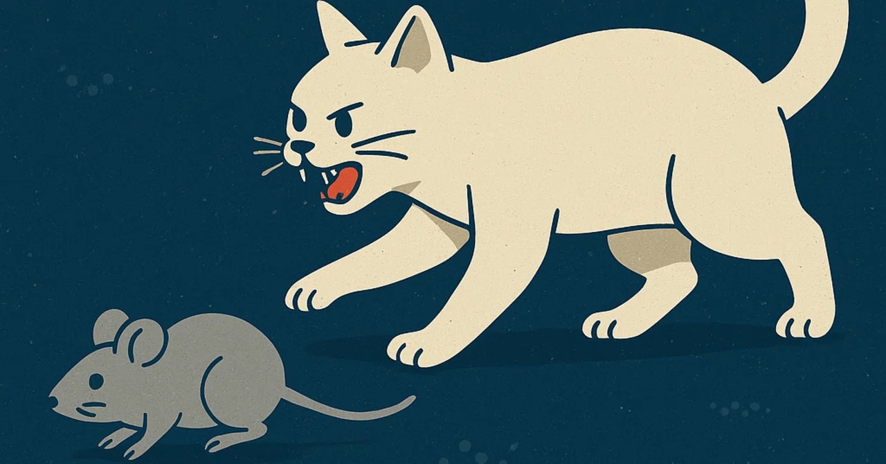 猫がネズミを追うのは、前世を殺しているから|acid