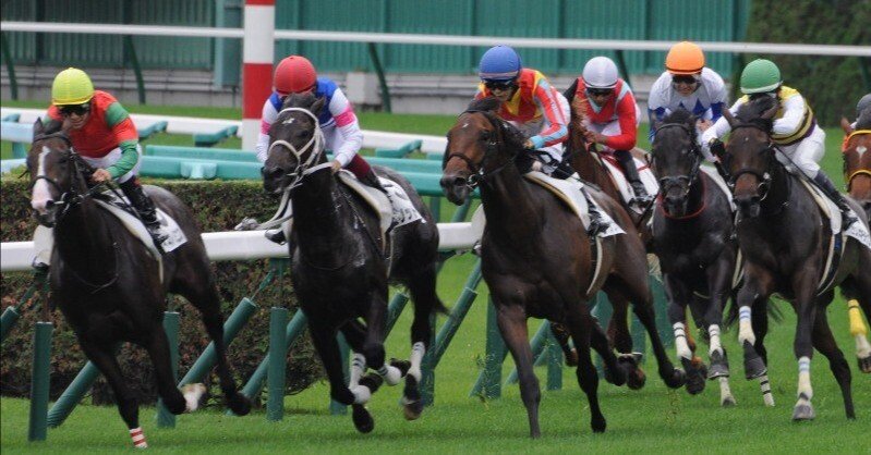 競馬パネル：ホクトベガ「1994年第30回札幌記念」 ※プレート付き 1994年 札幌記念（GⅢ） | ホクトベガ | JRA公式 - YouTube