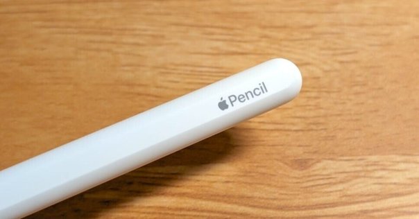 新品未使用 Apple純正品 アップル Apple Pencil開封済み 箱無し