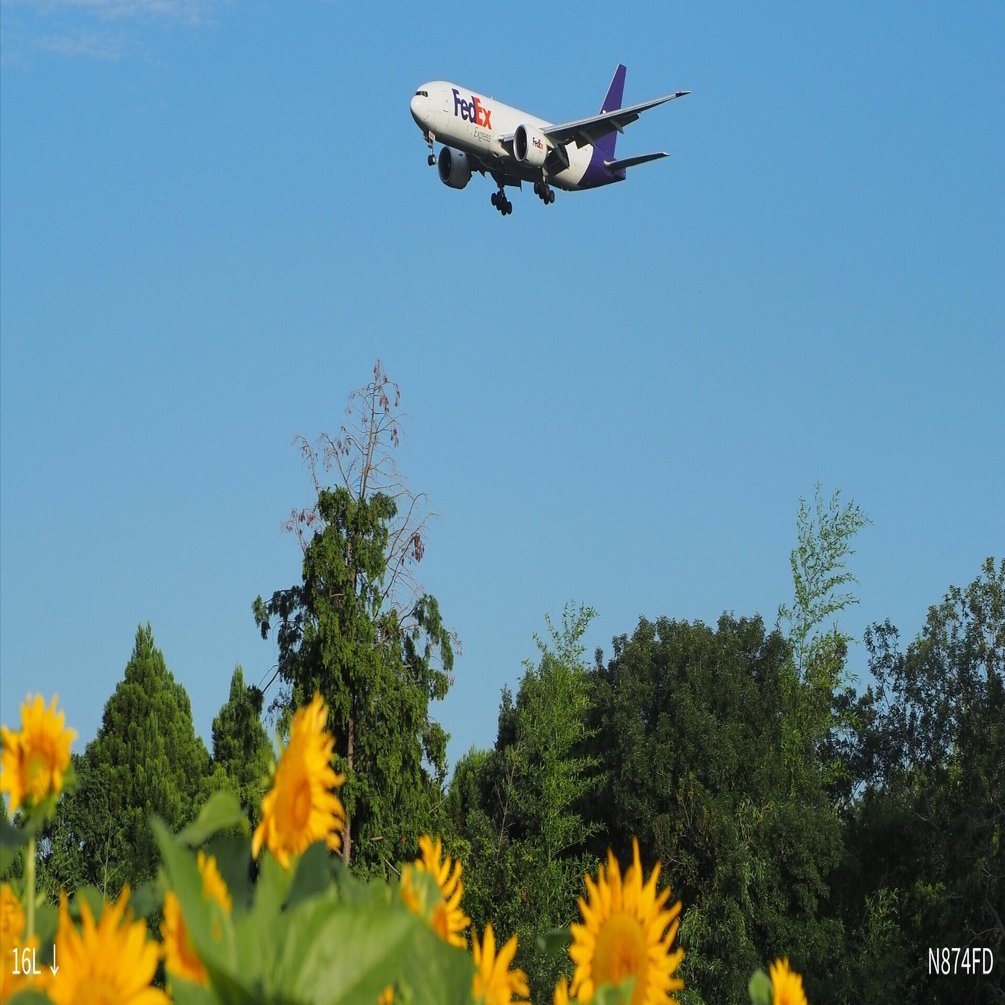 NRT RJAA 成田国際空港 ひまわりと飛行機｜Hisa126