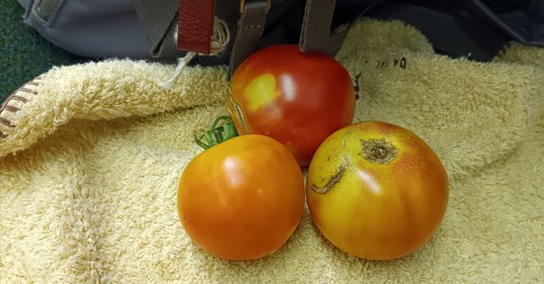 ご縁、宜しくお願い致します<(_ _*)> 7285fdb5ba0b1aec153c7c4845378a