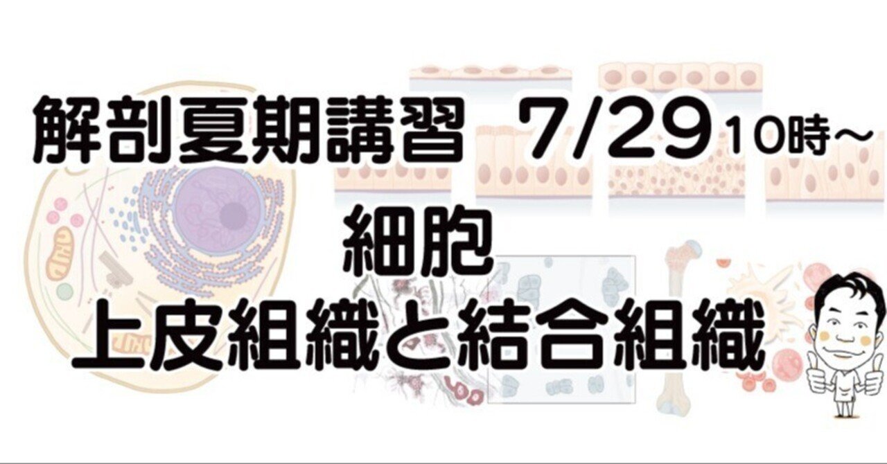 組織学 カラー ポケット組織学 - 西村書店