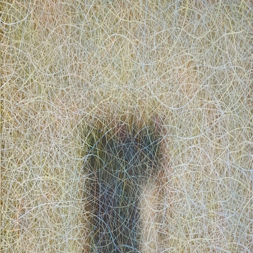 テンペラ混合技法｜T.sakamoto