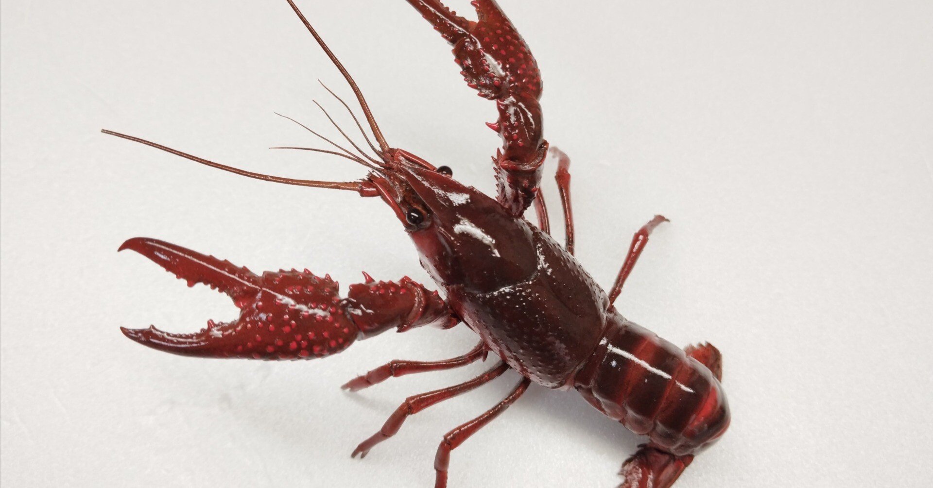 2282be7a3b2a0f6be3ac1e42fc765e