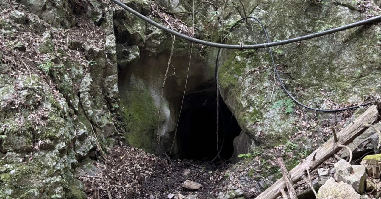 遭難の現場から19 】山には危険がいっぱい〜捜索で出くわした危険生物