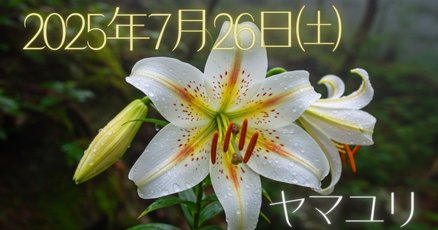 お岩さん」の人気タグ記事一覧｜note ――つくる、つながる、と