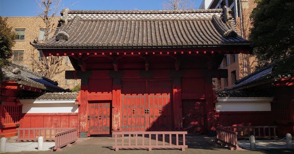 【河合塾】『ハイパー東大理類コース　英語表現T(存在の表現)　中村素和先生』+α 河合塾】『ハイパー東大理類コース 英語表現T(存在の表現) 中村