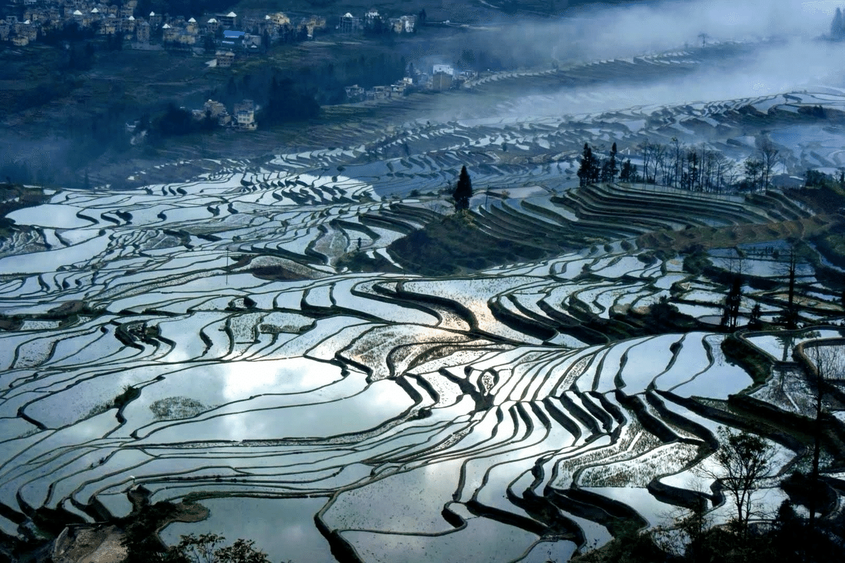 中国雲南省山岳地帯•神秘の棚田で見えた天国と地獄｜まぷ | 旅×ご飯×歴史
