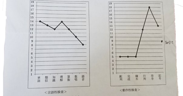 WAIS-III WAIS-3 知能発達検査 WAIS-III 成人知能検査 (ウェイス・スリー)｜心理検査専門所