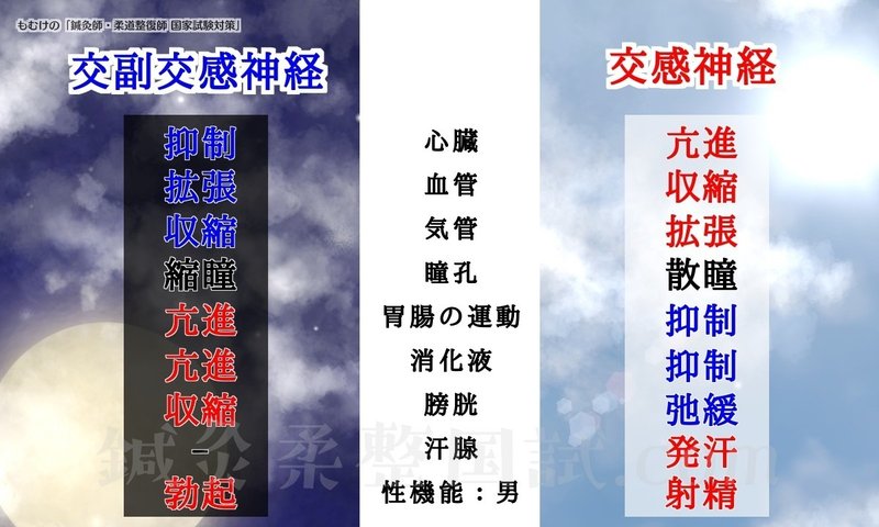 生理学 図解イラストとゴロ合わせで簡単 自律神経 交感 副交感神経 の覚え方オールコンプリートリスト 森元塾 国家試験対策 Note