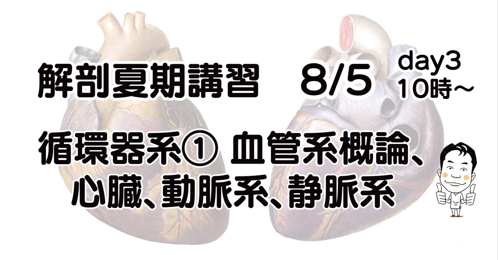 解剖夏期講習 8/5 循環器系① 血管系、心臓、動脈、静脈｜かずひろ先生