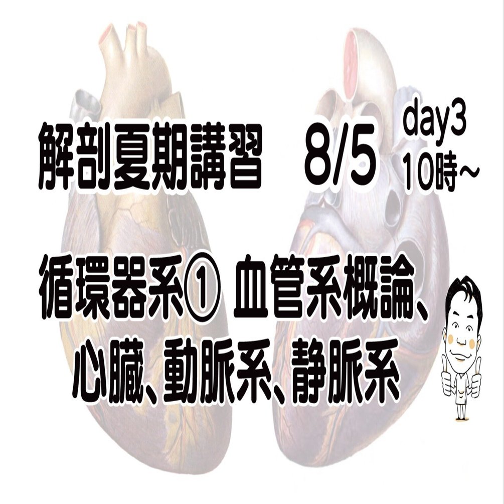 解剖夏期講習 8/5 循環器系① 血管系、心臓、動脈、静脈｜かずひろ先生