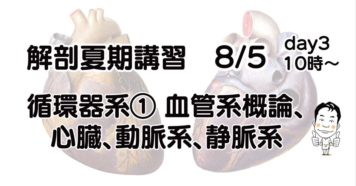 循環器診療に活かす心臓血管解剖学 循環器診療に活かす 心臓血管解剖学 | 国立循環器病研究センター