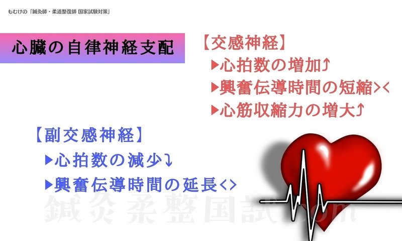 生理学 自律神経 交感 副交感神経 オールコンプリートリスト ゴロ合わせ イラスト 関連付け 森元塾 国家試験対策 Note