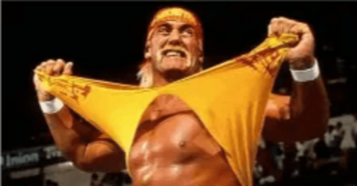 ビンテージ　ハルク・ホーガン　WWE　WWF 1991年　一番 GIJOE 1991 WWF ハルクホーガン フィギュア