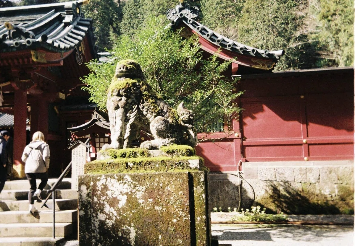 画像