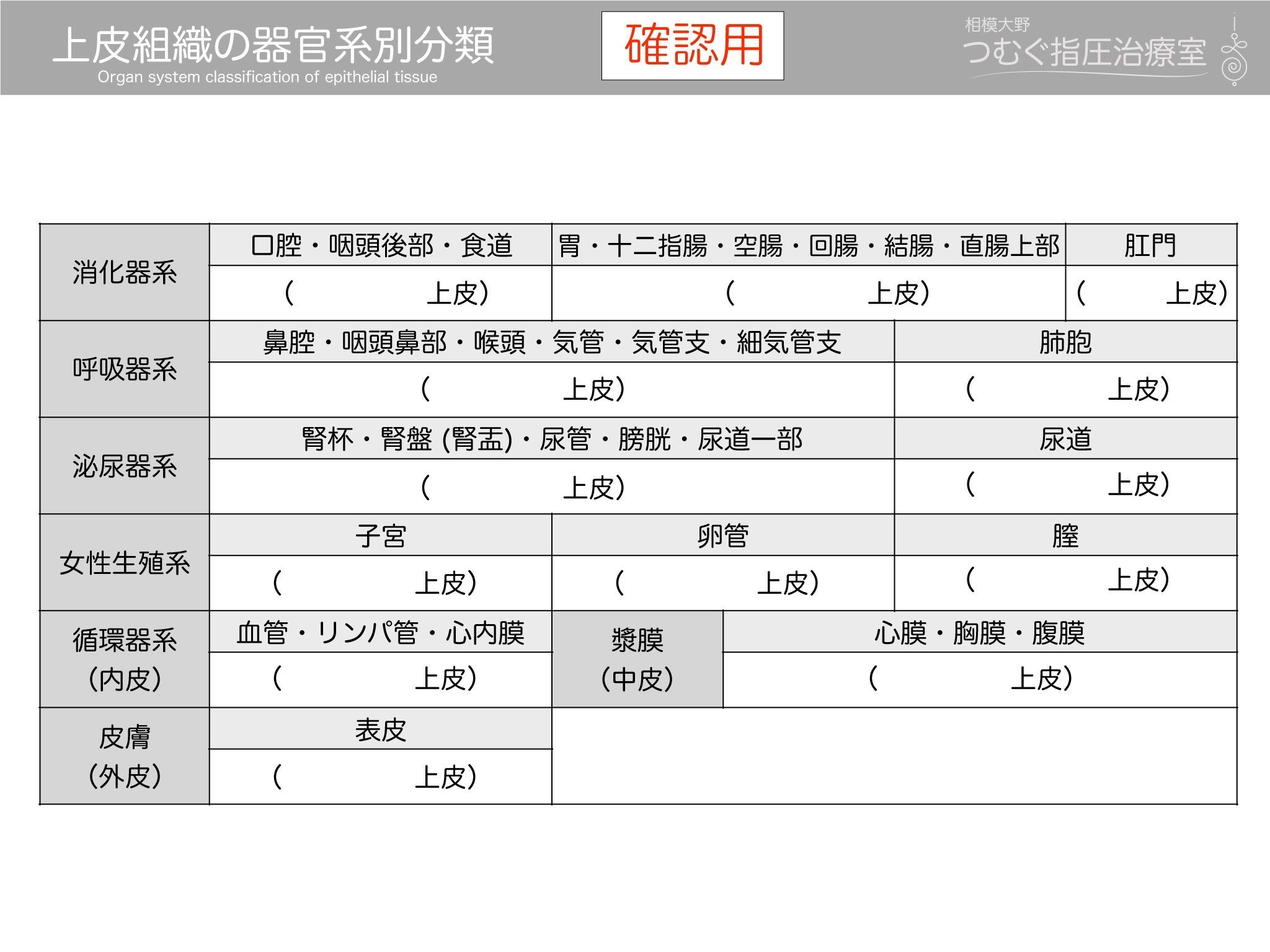 上皮組織の分類 黒澤一弘 Note