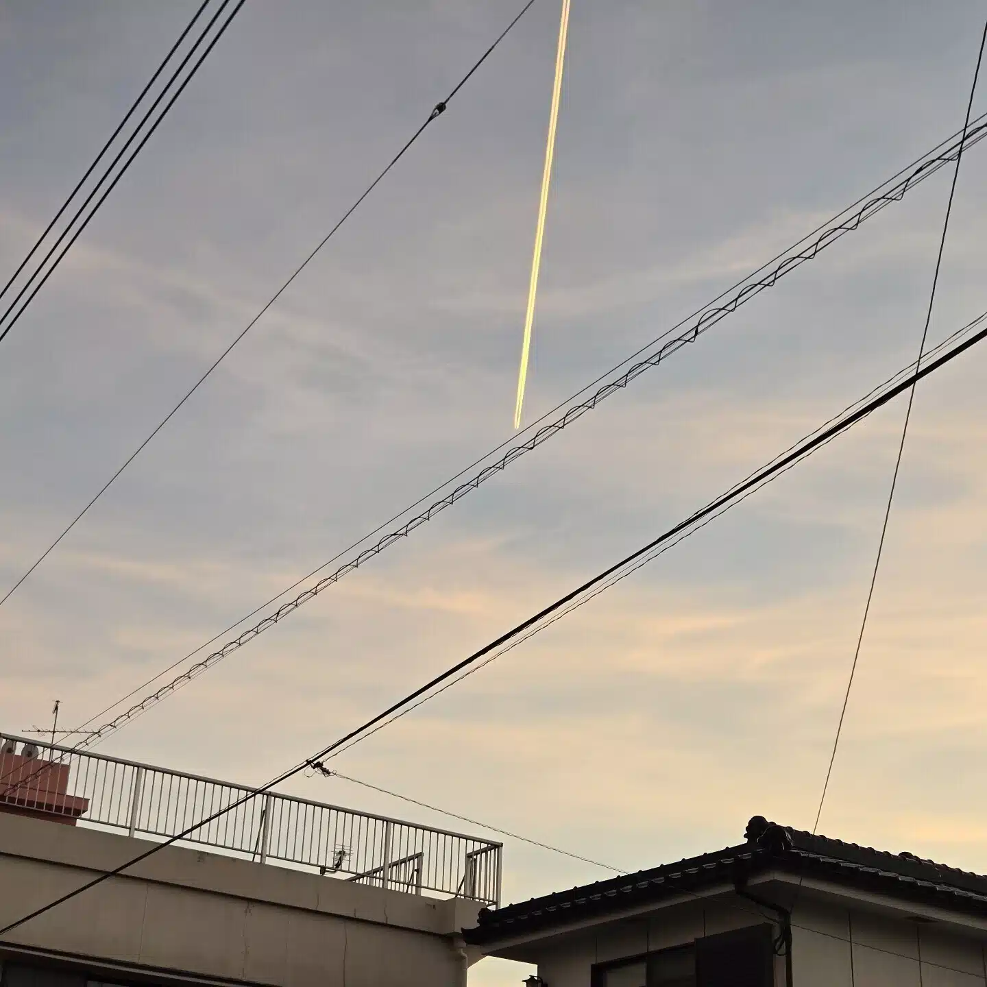 サッキー(メガネ)