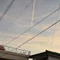 サッキー(メガネ)