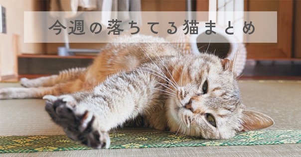 No.276-300「にゃんまる君&にゃんまるコインどーこだ？」まとめ