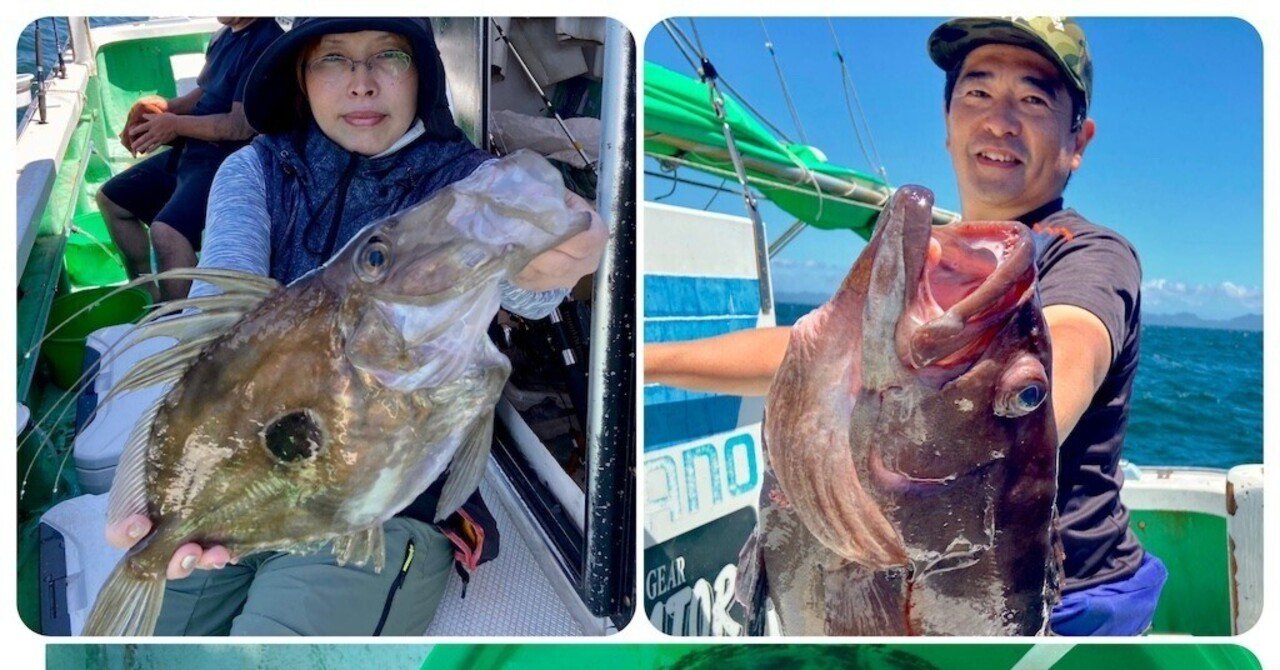 泳がせ】マハタ3kg、マトウダイ、ほかに吐き出し・ハリス切れが複数回