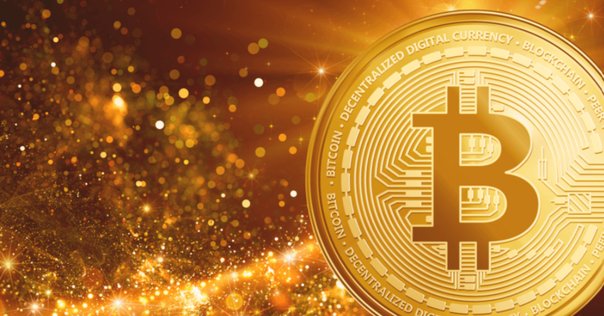 ビットコイン・スタンダードを読んでみた感想｜YUTO