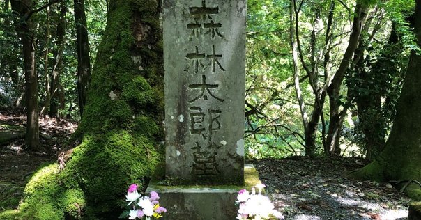 福田恆存　平衡感覚　初版 福田恒存 福田恆存 平衡感覚 初版 カバー - メルカリ