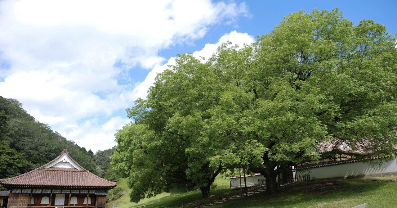 昭和アンティーク古墨　昭和初期の 尋常小学校希少墨2点　古墨マニアの方に！ 昭和アンティーク古墨 昭和初期の 尋常小学校希少墨2点 古墨