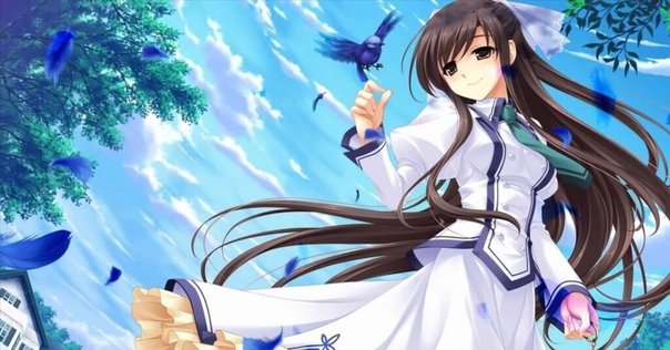 ミヤコワスレ終末論 激ヤバ廃盤コンピ『ミヤコワスレ終末論』って知ってる？｜αsuca